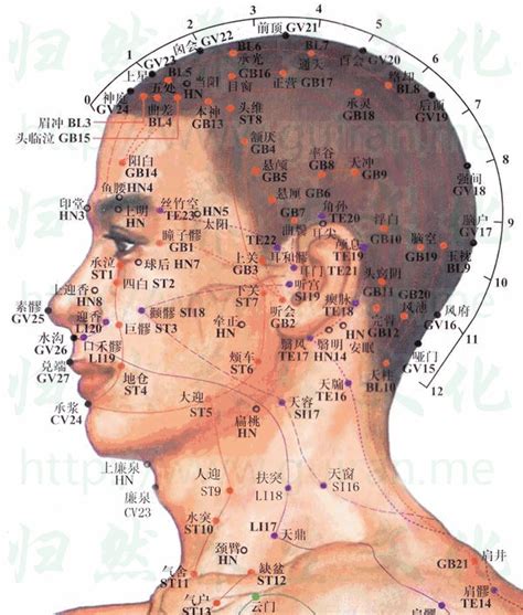 鶴頂穴位置|人體穴位大全——鶴頂穴：耳聾耳鳴、臂痛、癲癇等